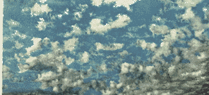 Altocumulus flocus