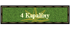 4 Kapaliny