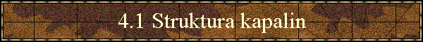 4.1 Struktura kapalin