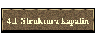 4.1 Struktura kapalin