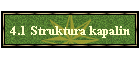 4.1 Struktura kapalin