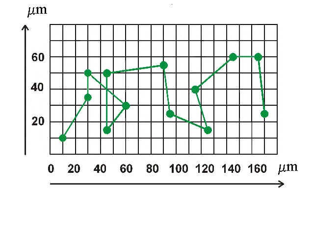1.2.1 Brown.bmp (921654 bytes)