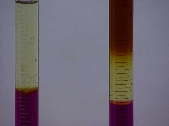 3.3 Foto C.jpg (12142 bytes)