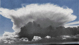 Cumulonimbus capillatus