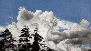 Cumulonimbus calvus